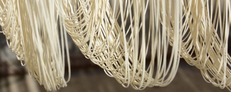 挂面生虫子了还能吃吗