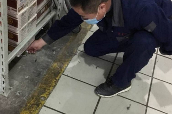 什么药灭蟑螂最有效