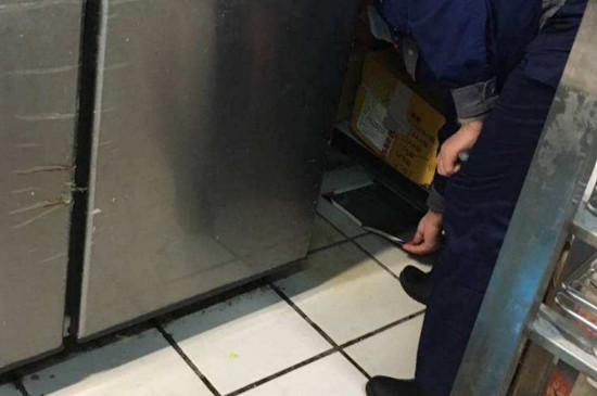 什么药灭蟑螂最有效