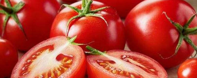 西红柿能和豆腐一起吃吗