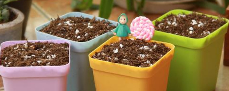 废菌棒如何做营养土