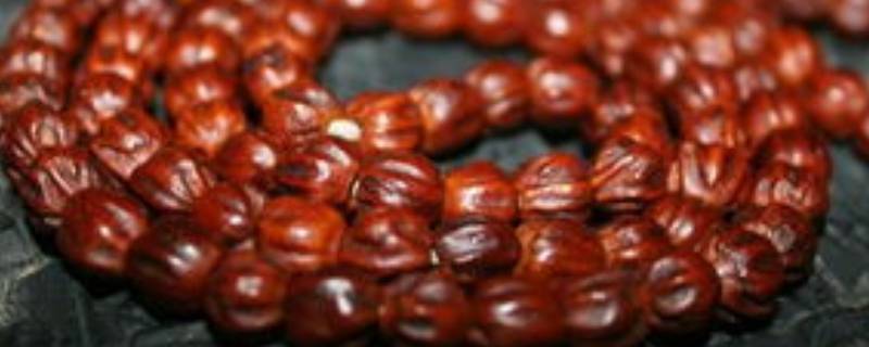 「经验分享」百香籽盘黑了怎么处理