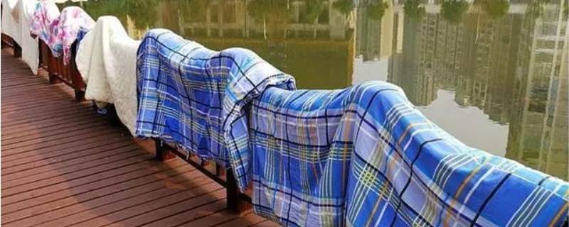 「经验分享」晒被子打出来的灰尘还是什么