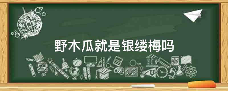 「原创」野木瓜就是银缕梅吗
