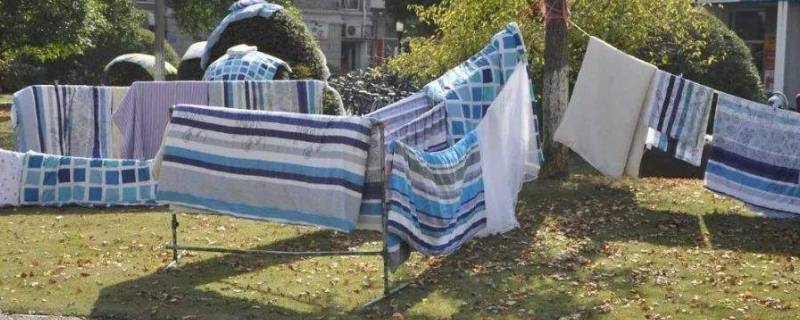 「已解答」晒好被子要拍打吗