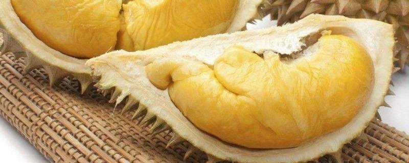 「重点」有苦味的榴莲还能吃吗