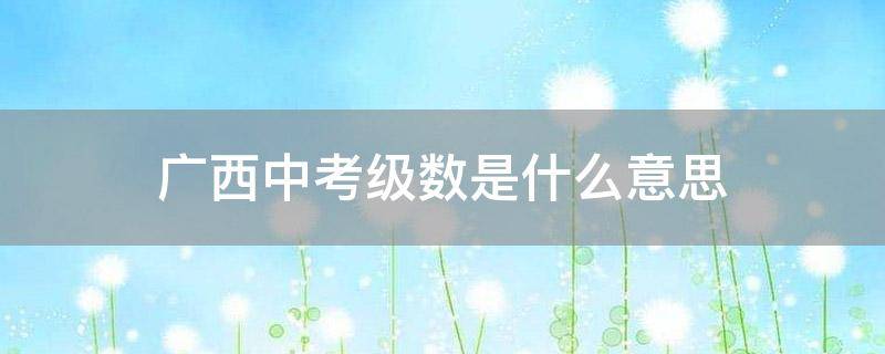 「已解答」广西中考级数是什么意思