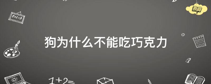 「常识」狗为什么不能吃巧克力