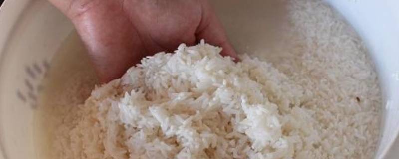 「已解答」糙米泡过的水还要吗