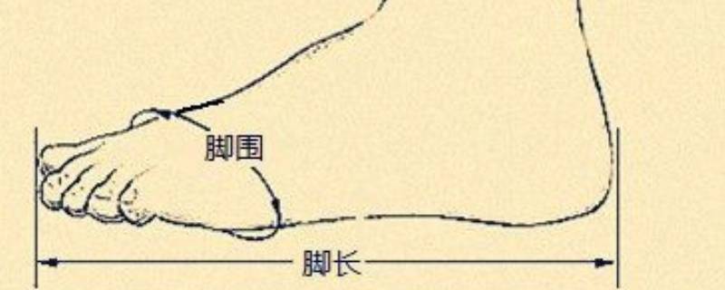 「原创」脚围指的是什么