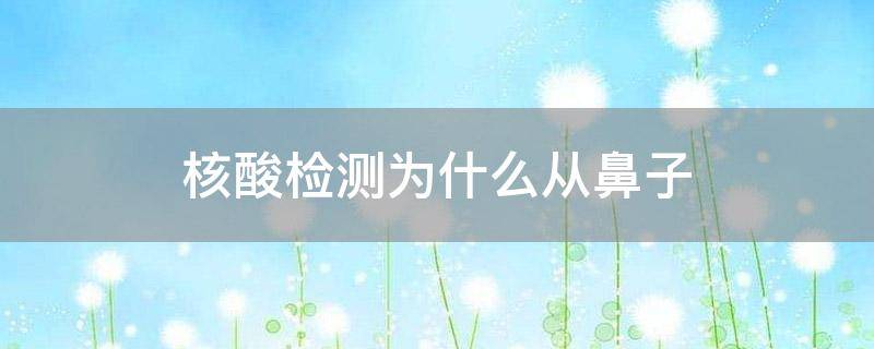 「已解答」核酸检测为什么从鼻子