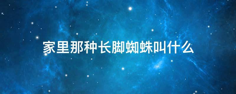 「已解决」家里那种长脚蜘蛛叫什么