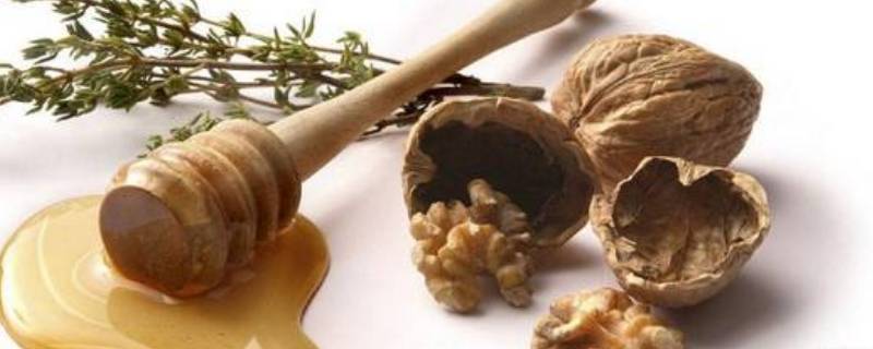 「达人分享」核桃加蜂蜜有什么功效