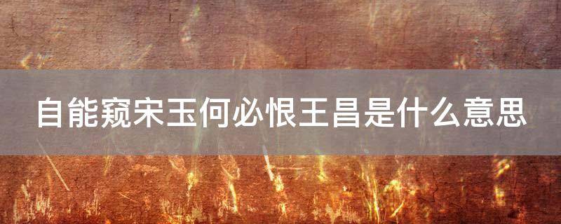 「重点」自能窥宋玉何必恨王昌是什么意思