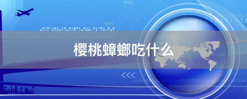 「原创」樱桃蟑螂吃什么