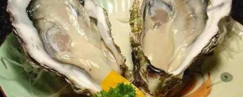 「重点」电饭煲蒸生蚝多久