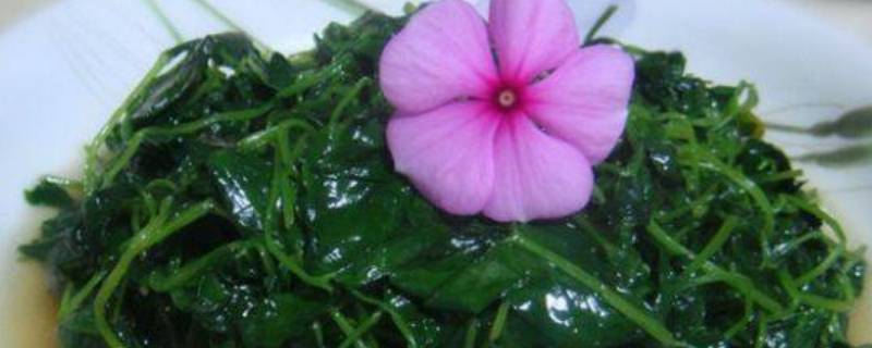 「重点」草头怎么炒的嫩又好吃