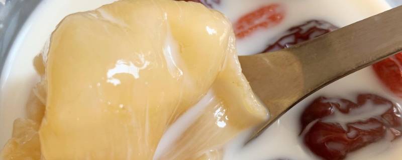 「原创」花胶有什么用