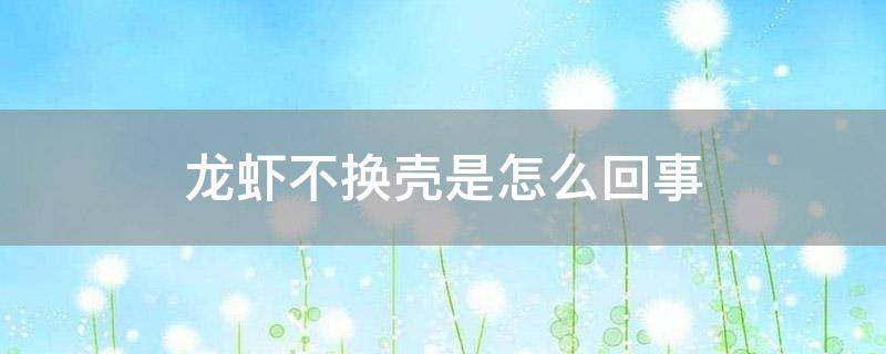 「已解答」龙虾不换壳是怎么回事