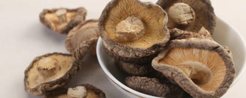 「原创」香菇下面的柄能吃吗