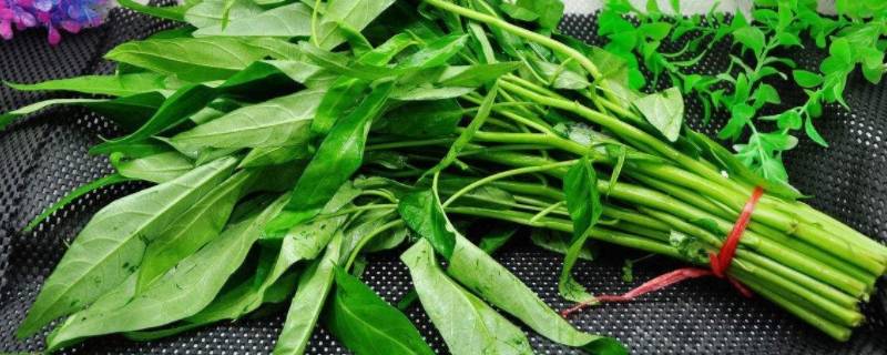 「重点」如何防止空心菜变黑