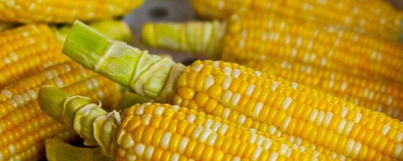 「达人分享」速冻糯玉米怎样煮又甜又好吃