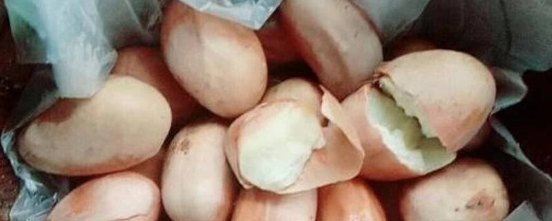 「已解答」菠萝蜜的核怎么炒