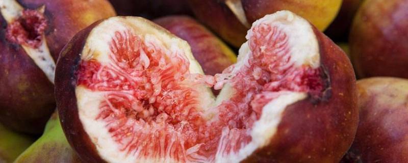 「已解答」无花果生的可以吃吗