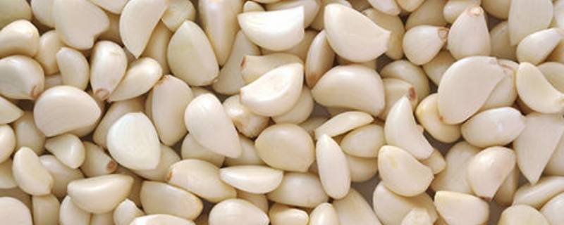 「已解决」剥皮的大蒜要怎么保存