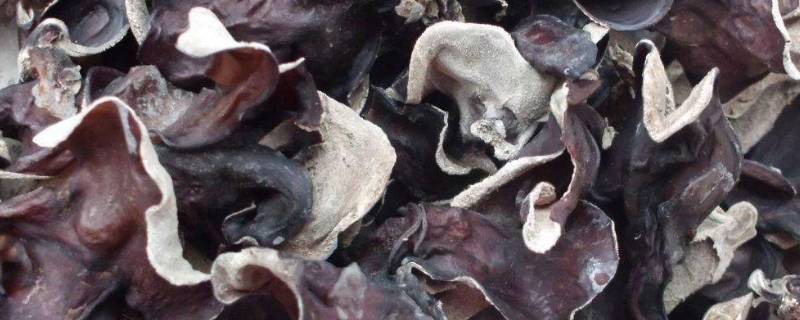 「常识」干木耳有没有保质期