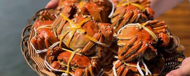「已回复」蒸大闸蟹要去掉绳子吗