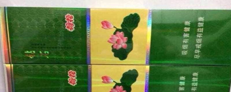 「重点」荷花烟嘴的绿心是啥