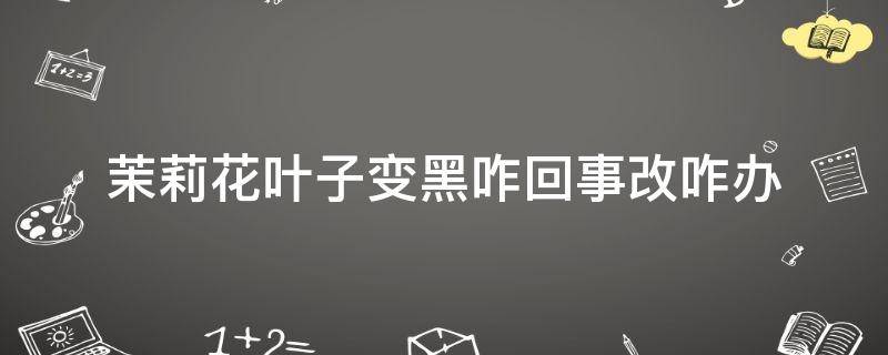 「常识」茉莉花叶子变黑咋回事改咋办