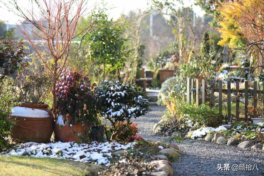 冬日花园（御景花园）