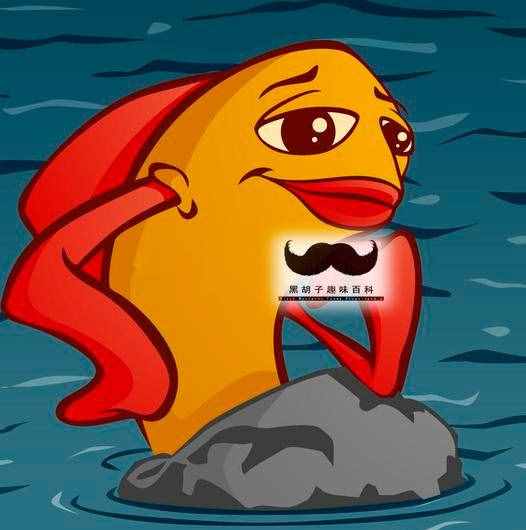 没有水的鱼（这几种鱼不用水）