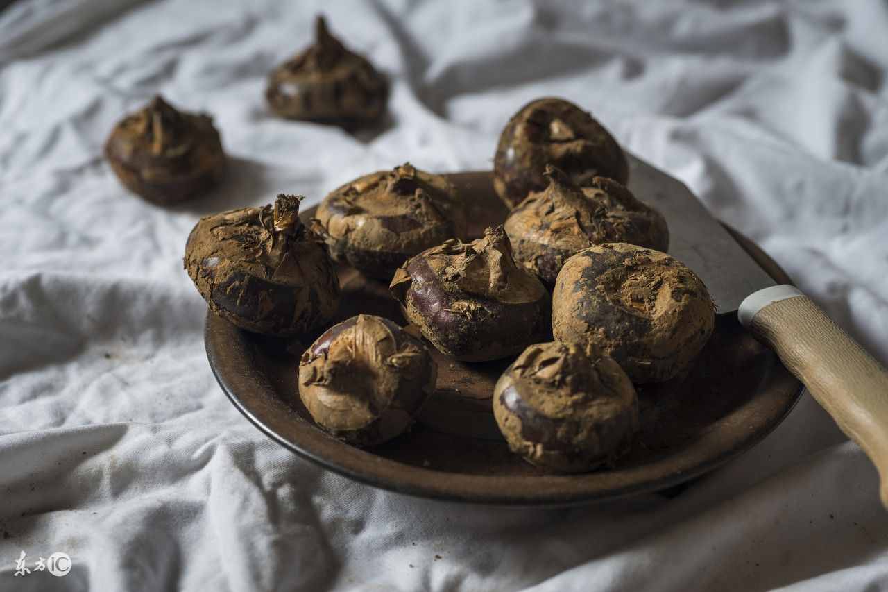 荸荠是什么（荸荠：个头小营养大）