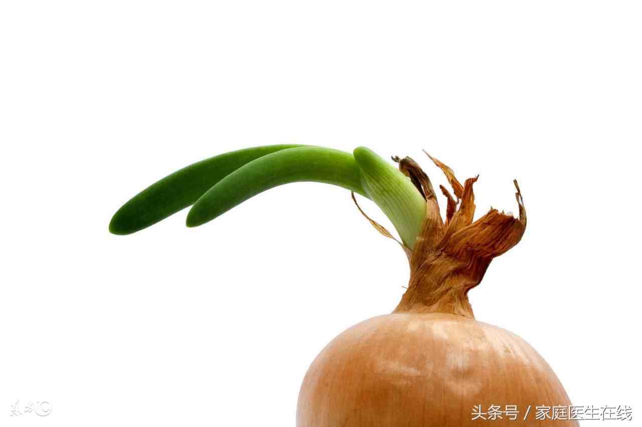 洋葱发芽了还能吃吗（发了芽的洋葱还能吃吗）