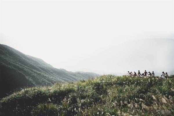 葫芦草（以“咸鱼”命名的野草）