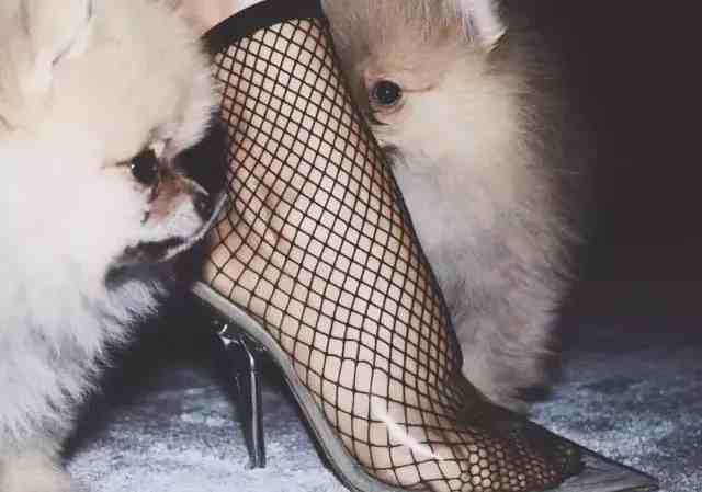 外围女是什么意思?（女大学生“外围”实录）