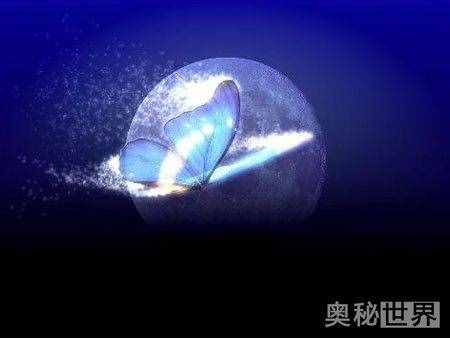 什么是蝴蝶效应（ 蝴蝶效应是什么意思）