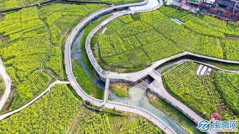 植树节口号（植树节口号简短 植树节主题宣传句子）